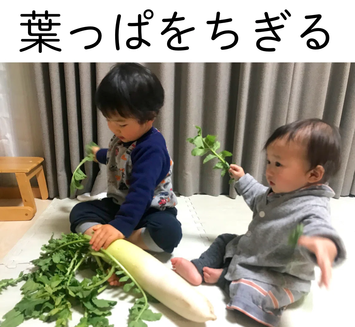 スクリーンショット 2020-05-18 23.29.55