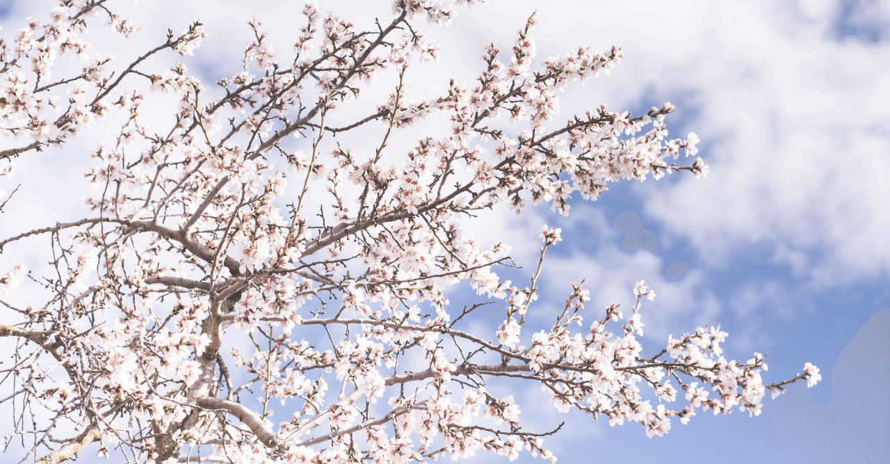 選択 私たちは皆 自分で選んでここに来たの 偶然じゃない 運命なんかでもない 塩浦良太 言葉を紡ぐ支援員 Note
