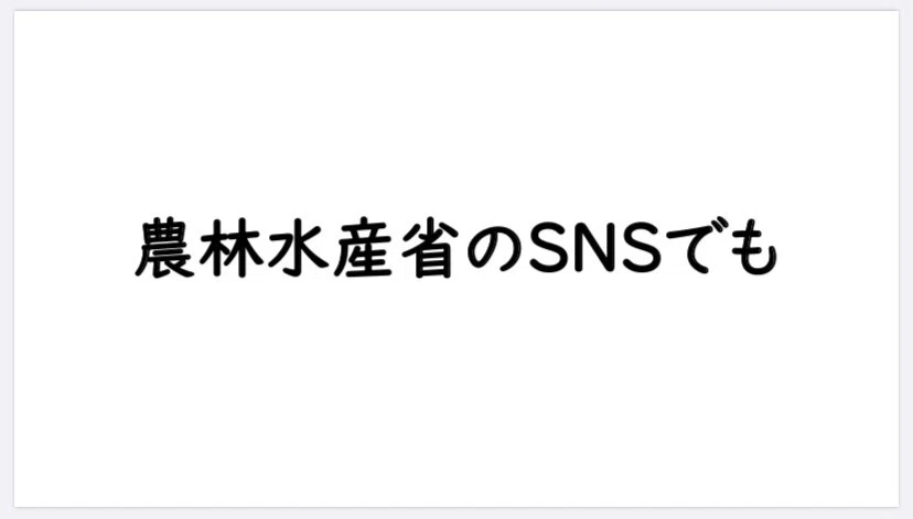 画像37