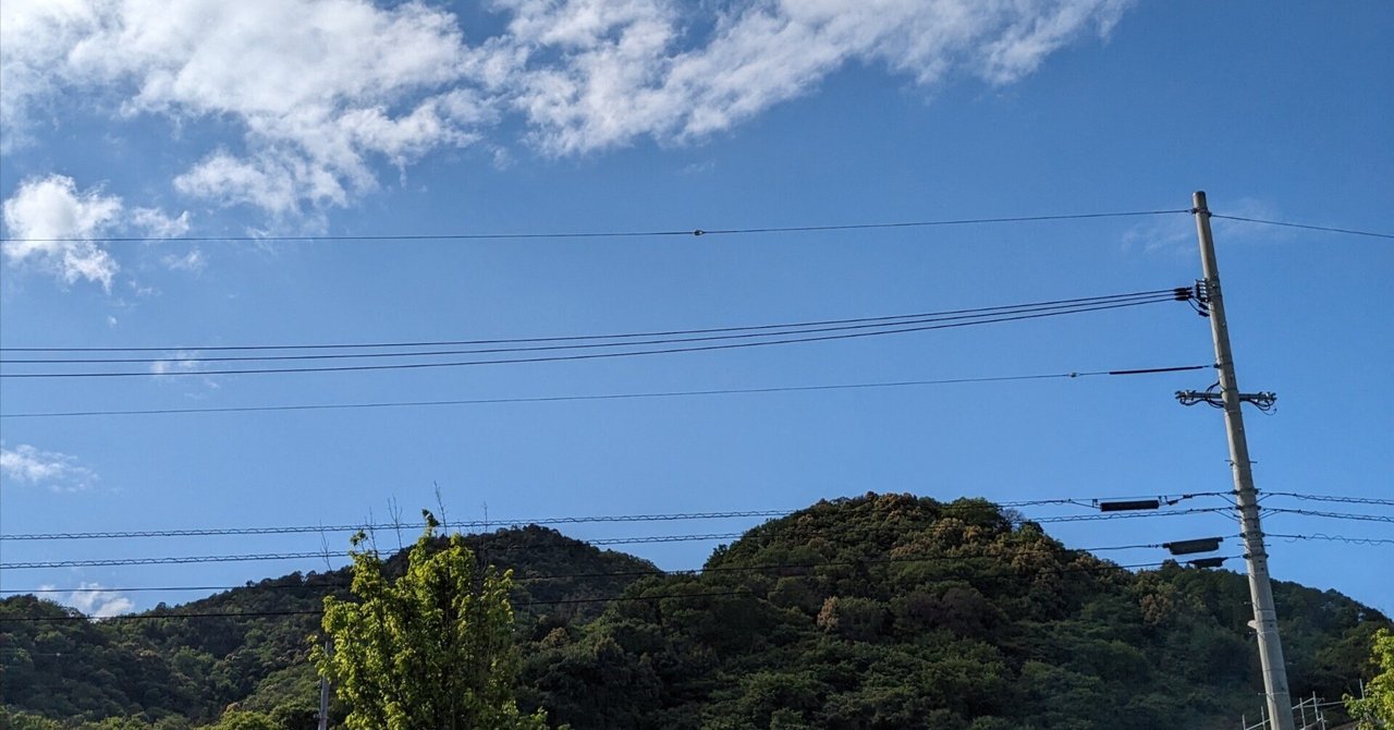 「【日記No.74】二人の船頭はいらなかった!!」のサムネイル
