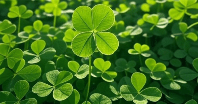 スポーツにも仕事にも料理にも、あらゆる局面にフローはある〜〜フロー状態を増やすことこそが人生を幸福で満たす　佐々木俊尚の未来地図レポート　Vol.901