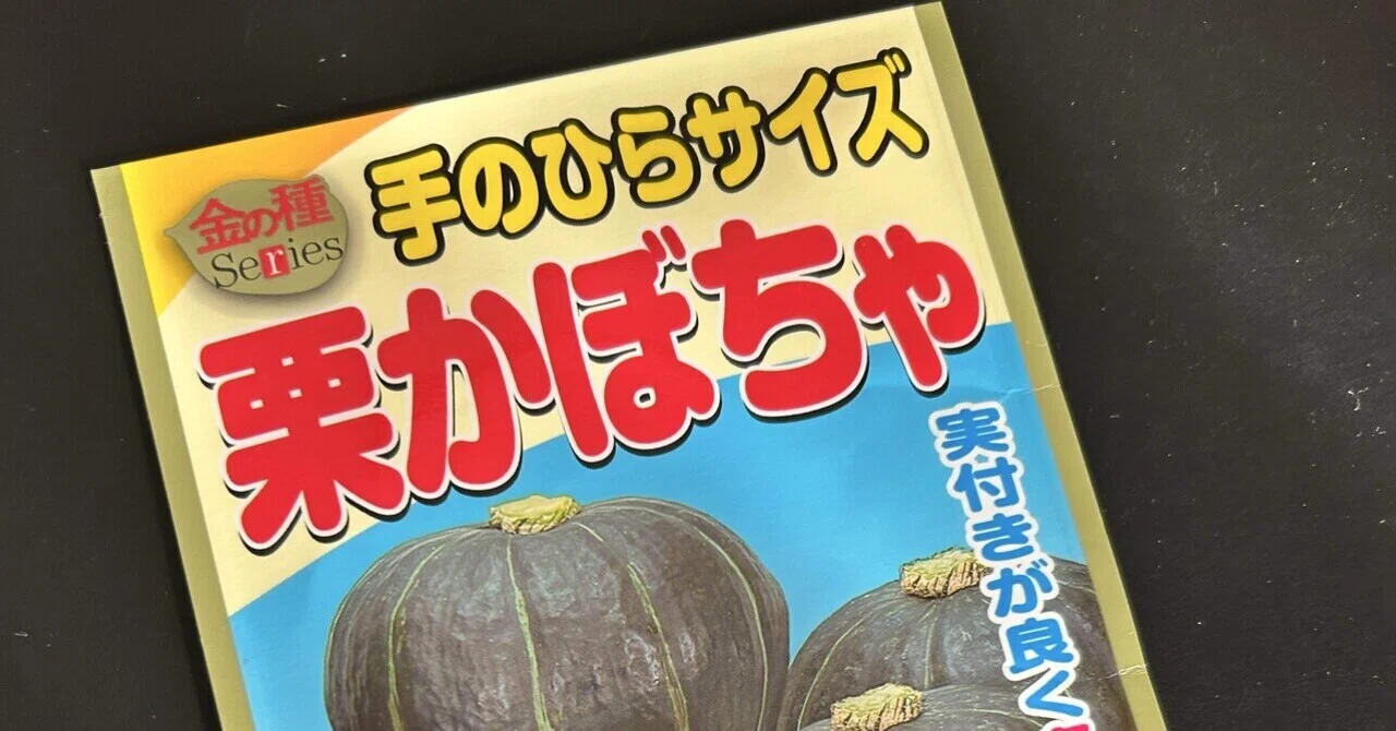 かぼちゃ　おまとめ13点 かぼちゃの種まき｜ちづ