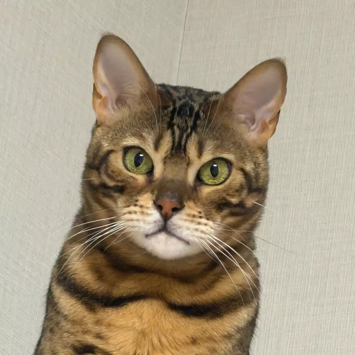 らく
