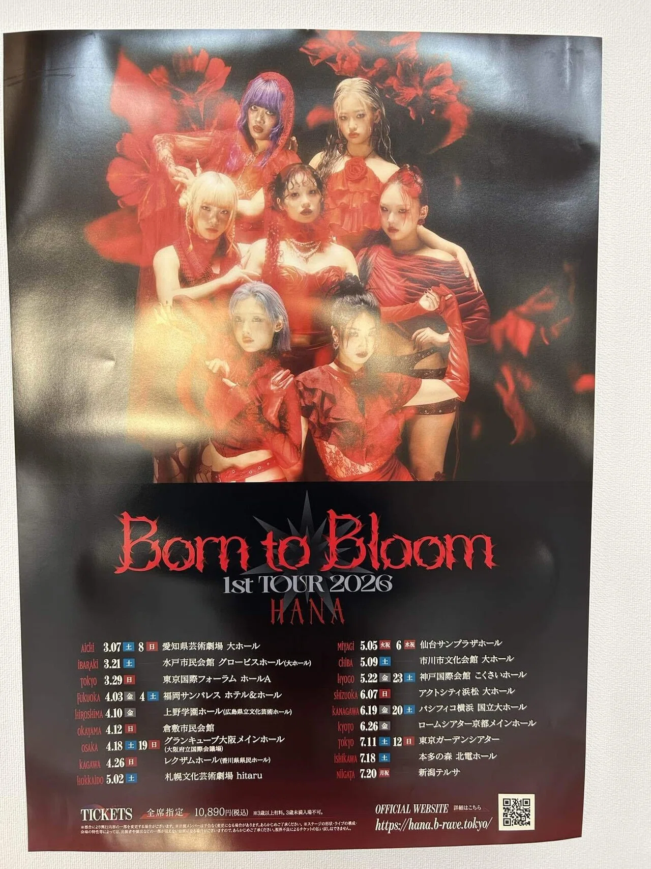 HANA 1st TOUR 2026 “Born to Bloom”ライブ行ってきた｜HANAの成長と