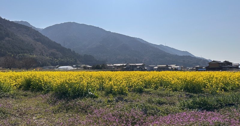 春めいてくる季節に、受取り上手になりたいな、と思った。