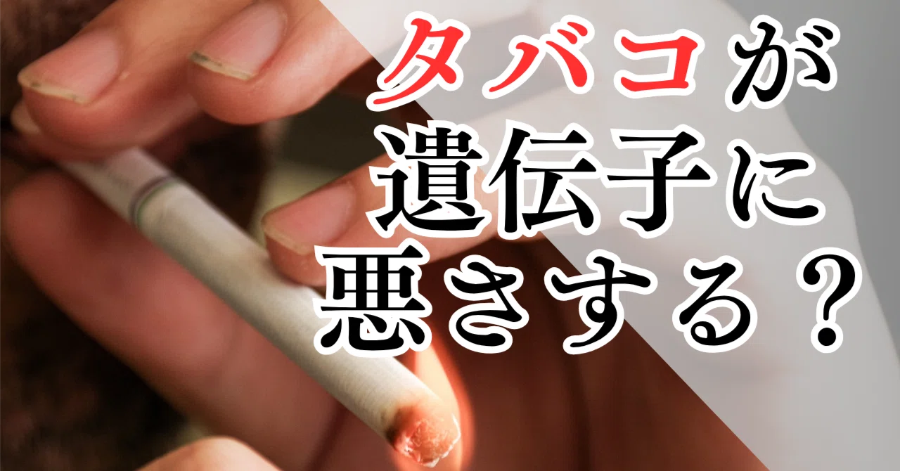 喫煙 者 精子