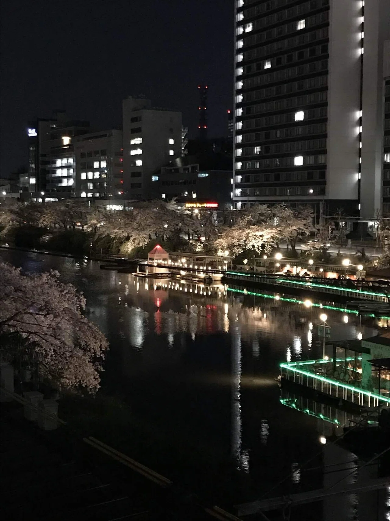 夜桜】2019年頃の市ヶ谷探検記。歩道に延々続く桜並木を堪能｜あだち