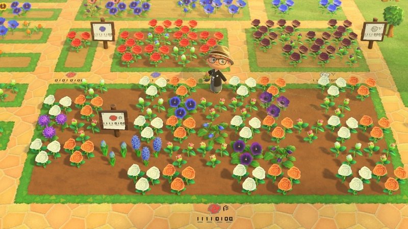 あつまれどうぶつの森で青いバラを作り出す手順のだいたいすべて Inuro Note