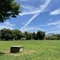 ta-ta