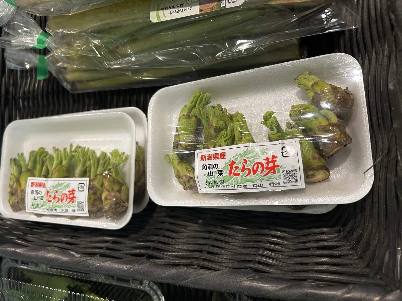 タラの芽　コメント用 Amazon.co.jp: 山形県産 天然 タラの芽 500g (冷蔵品) 春の味覚 山の幸