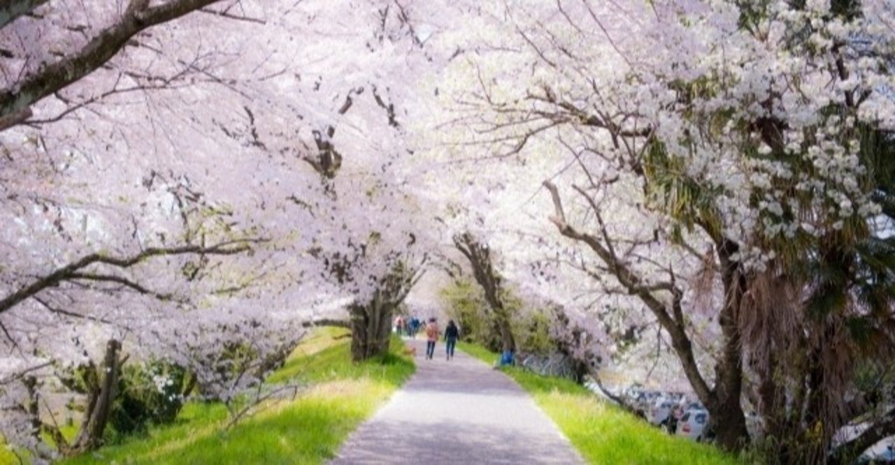本当の理由シリーズ 桜の木と正直者のワシントン じゅんざぶろう Note