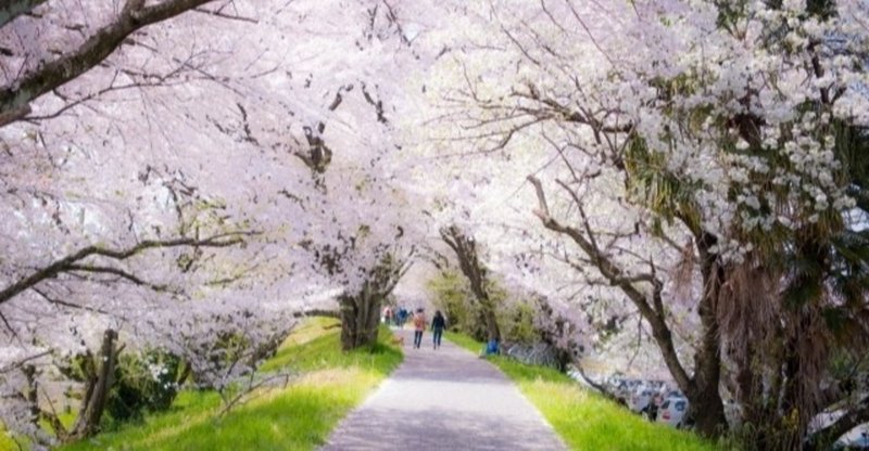 本当の理由シリーズ 桜の木と正直者のワシントン じゅんざぶろう Note