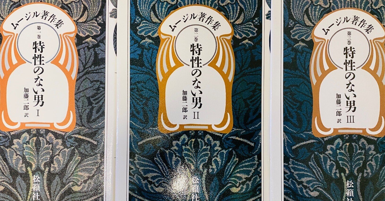 ムージル『特性のない男』 のあらすじを詳しくまとめてみたよ。20世紀
