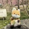 🦊きつね日記🦊