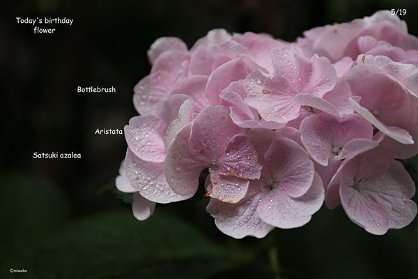 美点の持ち主 の新着タグ記事一覧 Note つくる つながる とどける 美点の持ち主 の新着タグ記事一覧 Note つくる つながる とどける