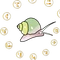 カタカムリ