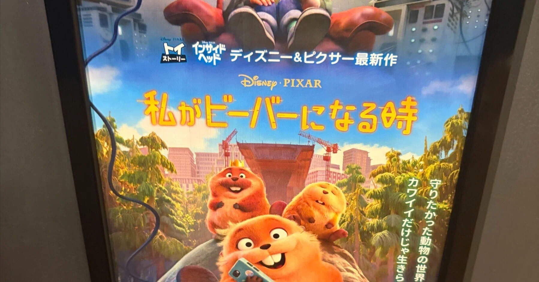 20260321_Believing in Goodness｜みーに
