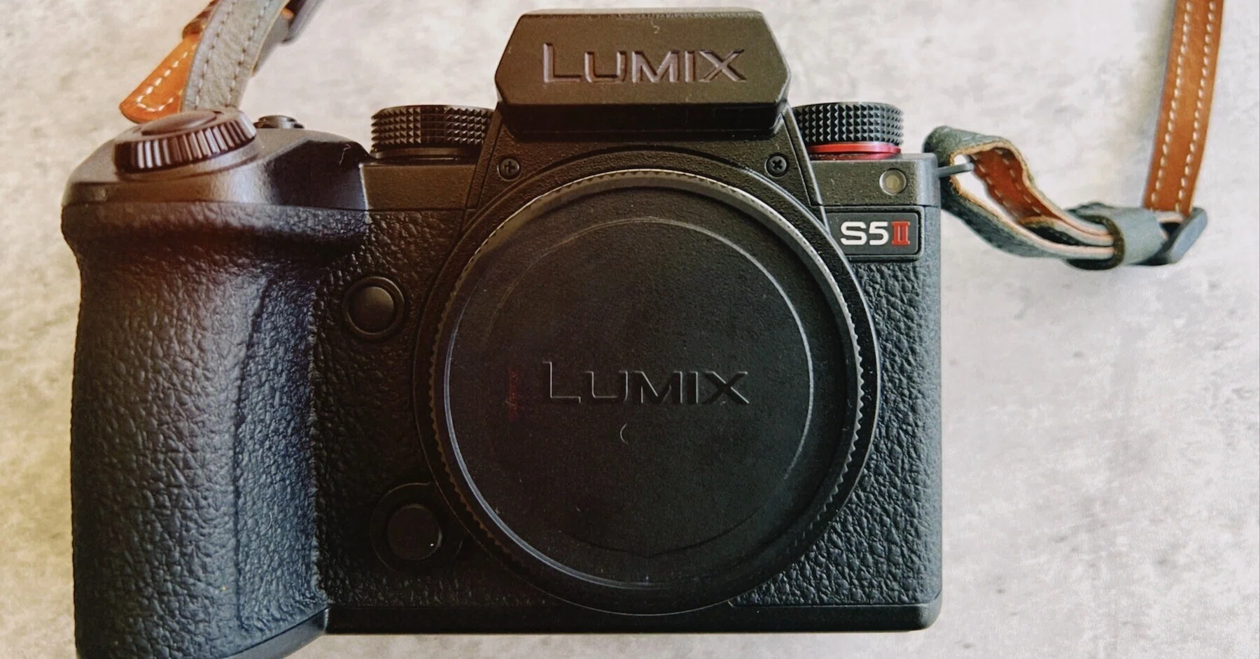 LUMIX S5IIは「こんな人」を除けばコスパ最高カメラ？｜猫写真家 