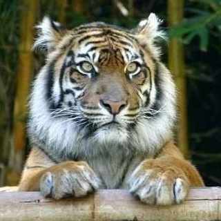 yuuu/会食専門家・ビジネス会食本著者