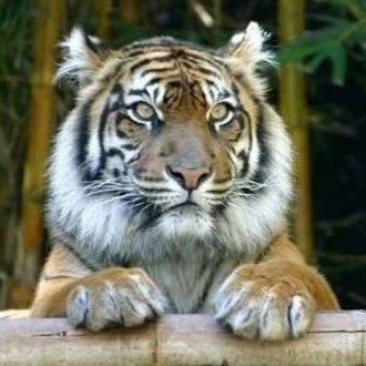 yuuu/会食専門家・ビジネス会食本著者