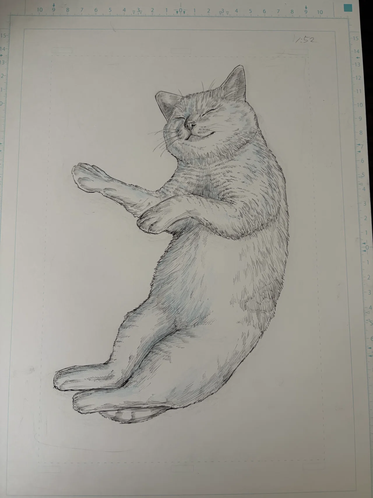ペン画の猫に、色鉛筆で『命』を吹き込んでみた。｜K KAKUTO