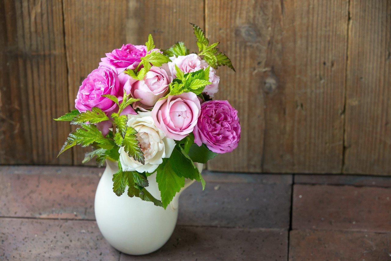 Rose バラ】人々を魅了する花の女王。｜フラワースクール hana-kichi