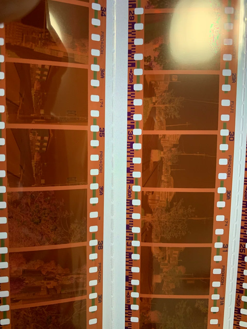 ハーフカメラフィルムを2コマスキャンしてもらう Shoko Photo1 Note