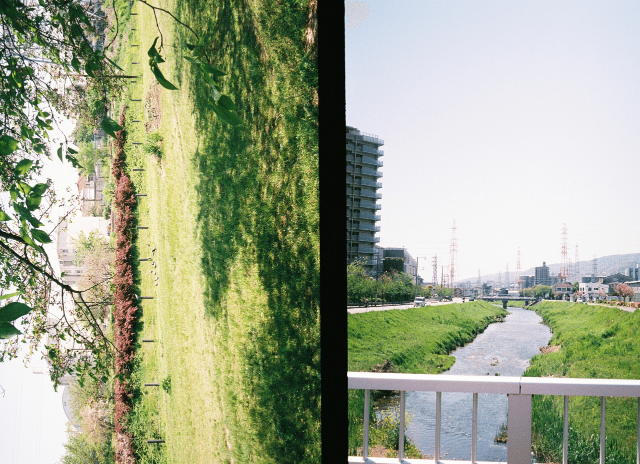 ハーフカメラフィルムを2コマスキャンしてもらう Shoko Photo1 Note