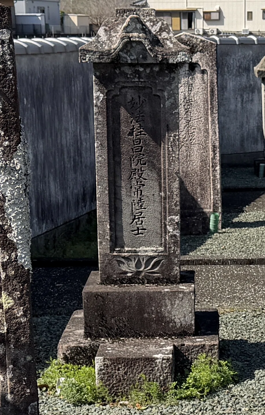 土佐をゆく(1)守護代細川氏の城跡「田村城跡」と菩提寺「天高山 細勝寺」|champsdepin(松野茂樹)