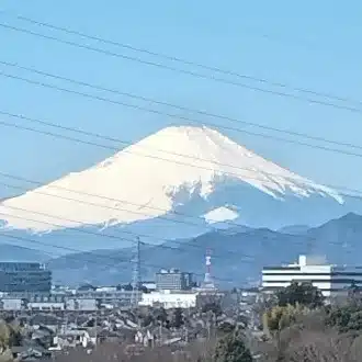 フジ