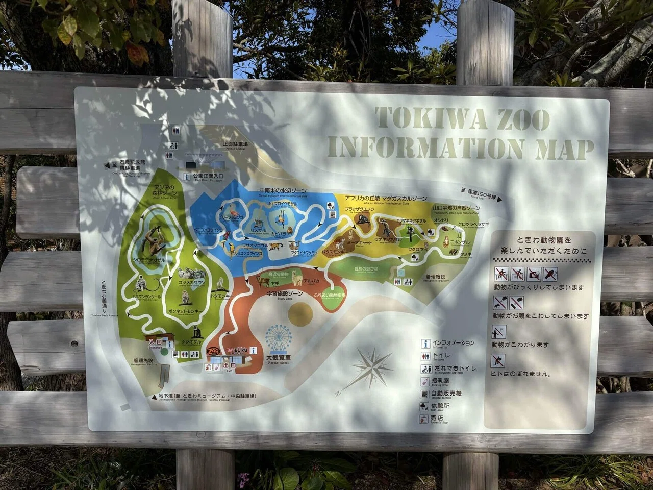 おすすめスポット】ときわ公園【山口県宇部市】｜小澤あやか