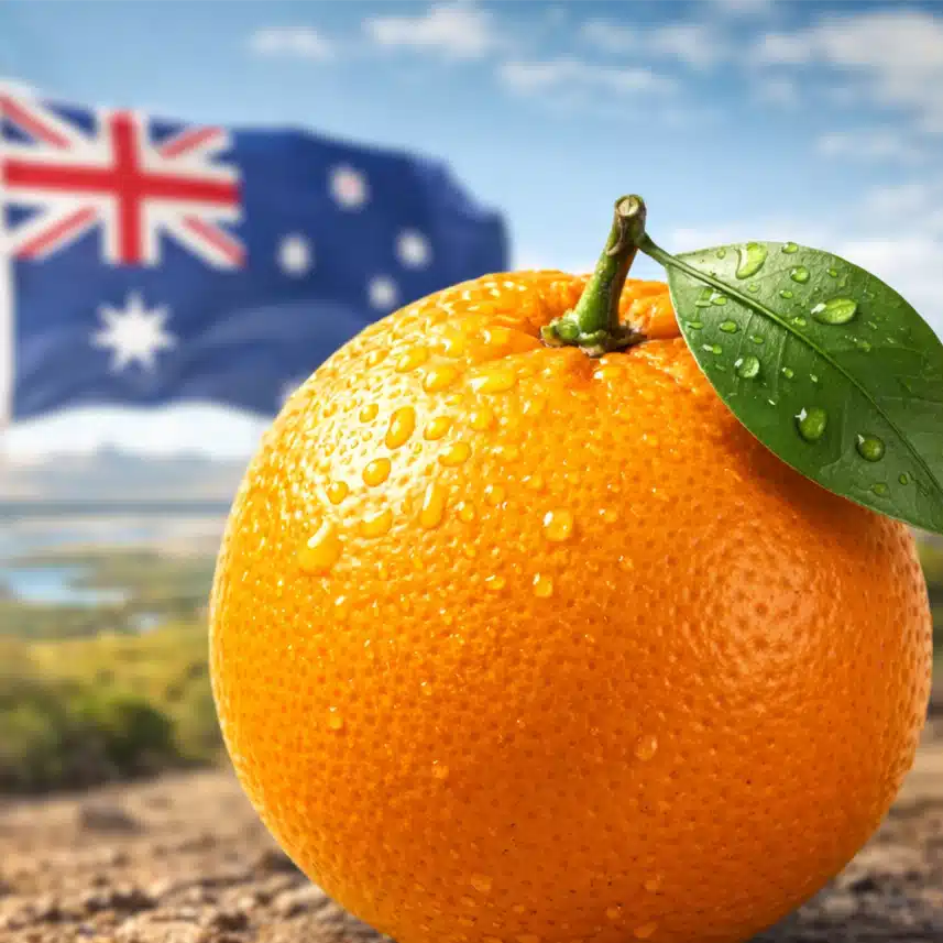 orange