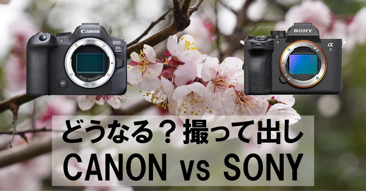 どうなる？撮って出し CANON vs SONY｜Megumi(MEGS photos)
