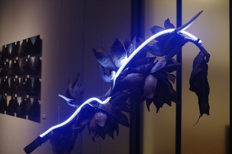 落合陽一「質量への憧憬 ～前計算機自然のパースペクティブ～」から