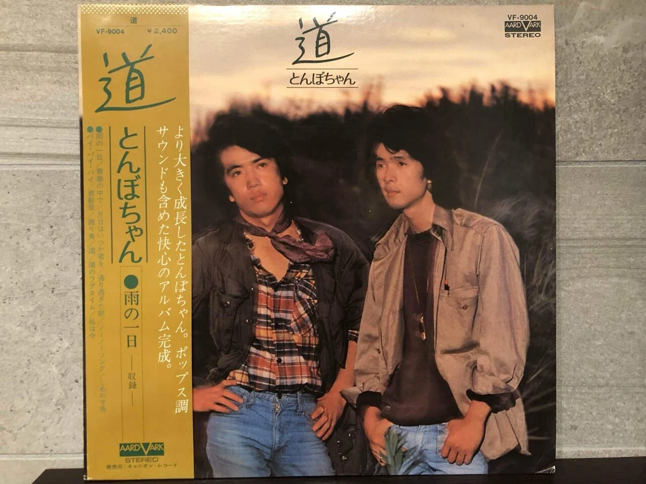 道／とんぼちゃん ('76)｜Takeshi Tada