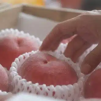 あゆみ / おかーちゃん桃農家のひとりごと