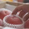 あゆみ / おかーちゃん桃農家のひとりごと