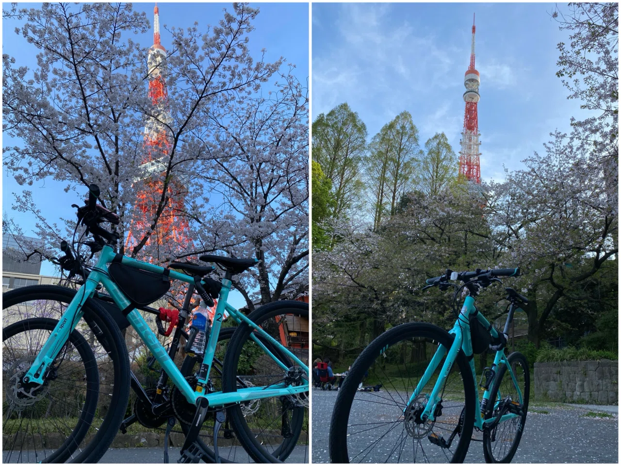 🇬🇧🇯🇵[Ep. 20] Sakura Ride: Exploring Tokyo's Authentic Spring