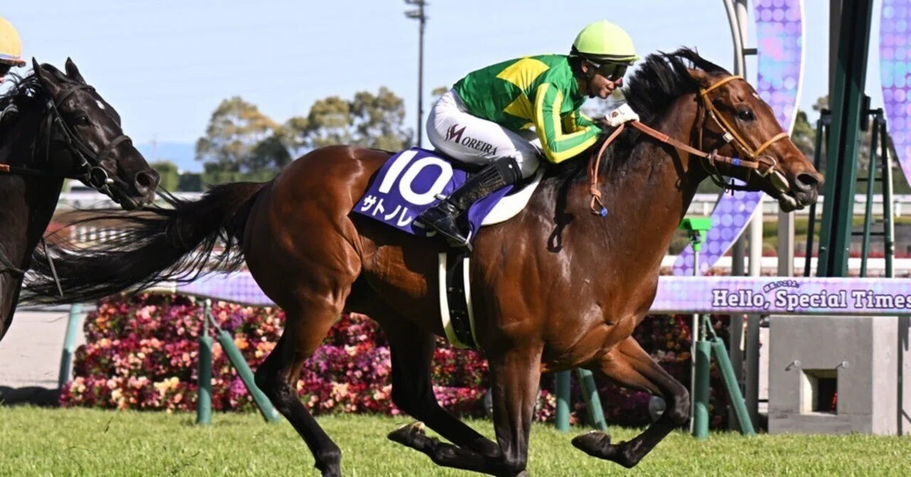 有力馬紹介】高松宮記念 2026：ドバイ回避で実現した「超豪華・春の短