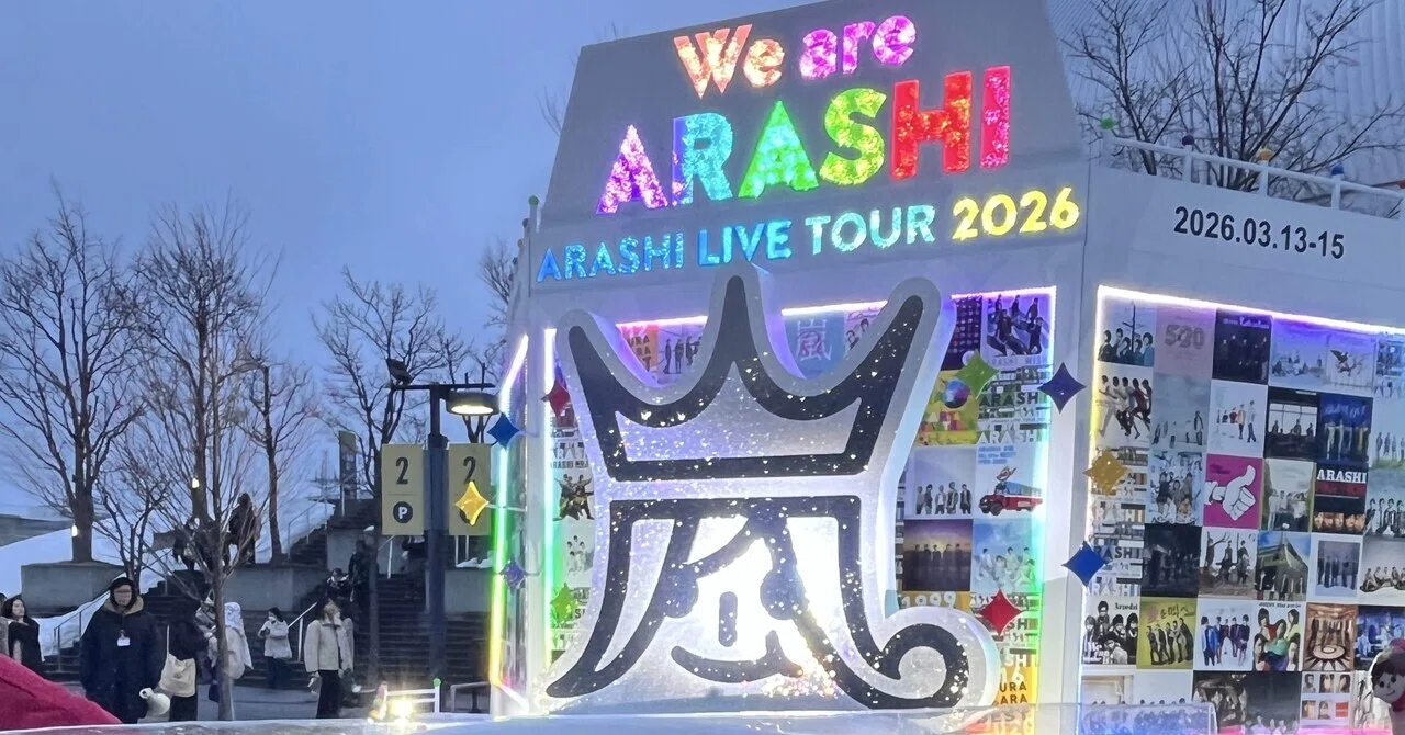 最初で最後。嵐のライブに行った。｜あねきねこ