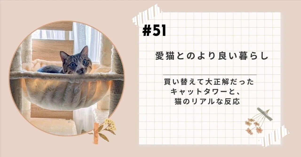 51 買い替えて大正解だったキャットタワーと、猫のリアルな反応｜ashimama