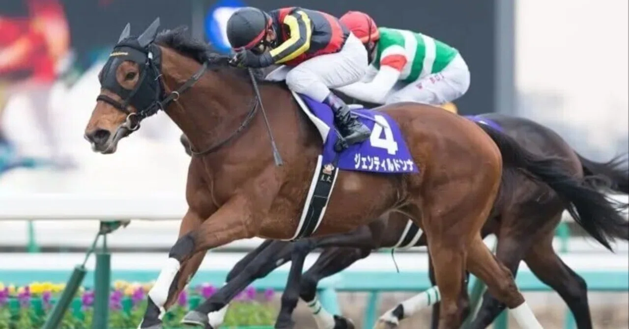 ジェンティルドンナの歴史｜競走馬の歴史