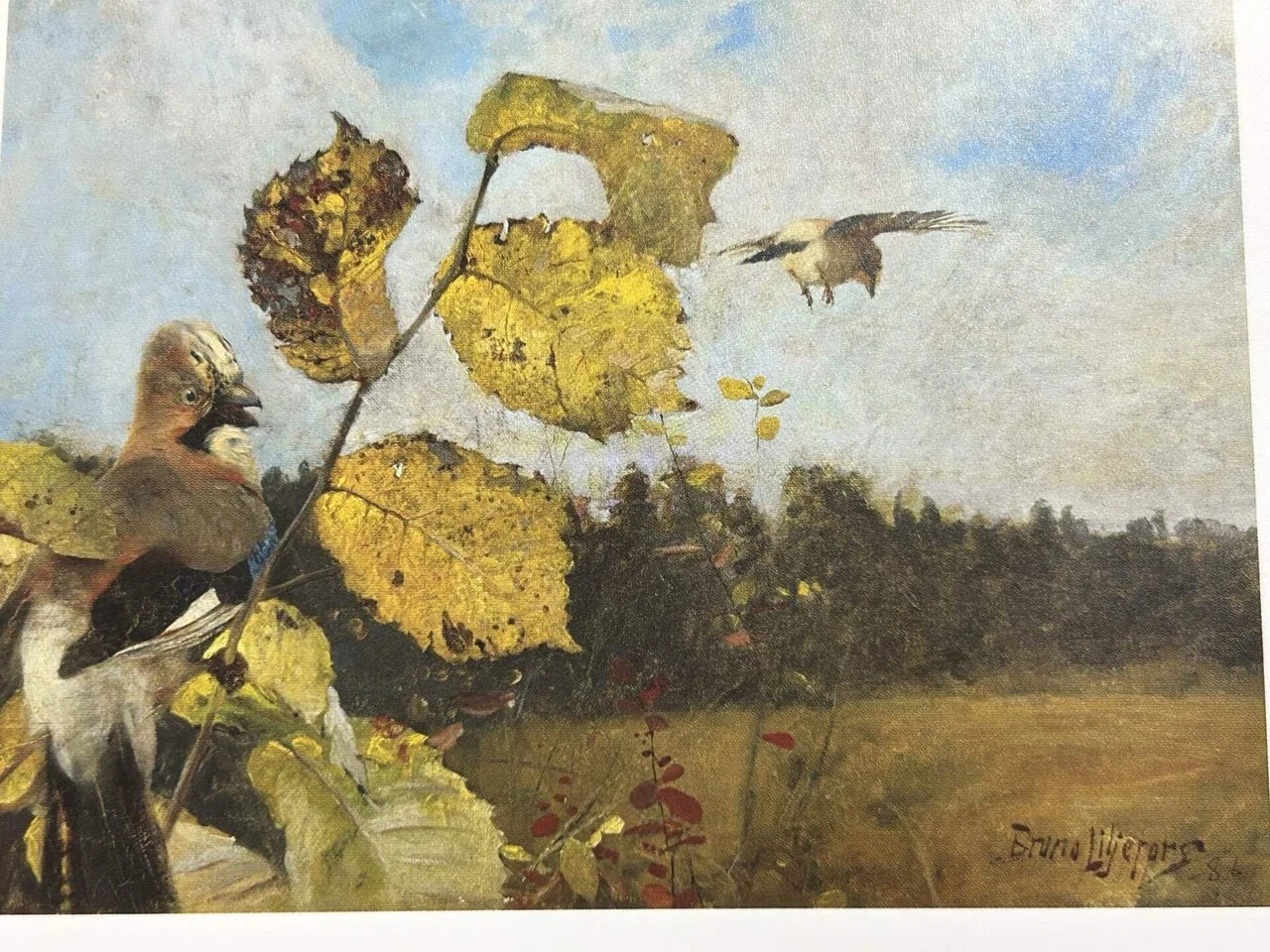 スウェーデン絵画 北欧の光、日常のかがやき』を鑑賞して｜kura