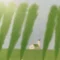 yayako
