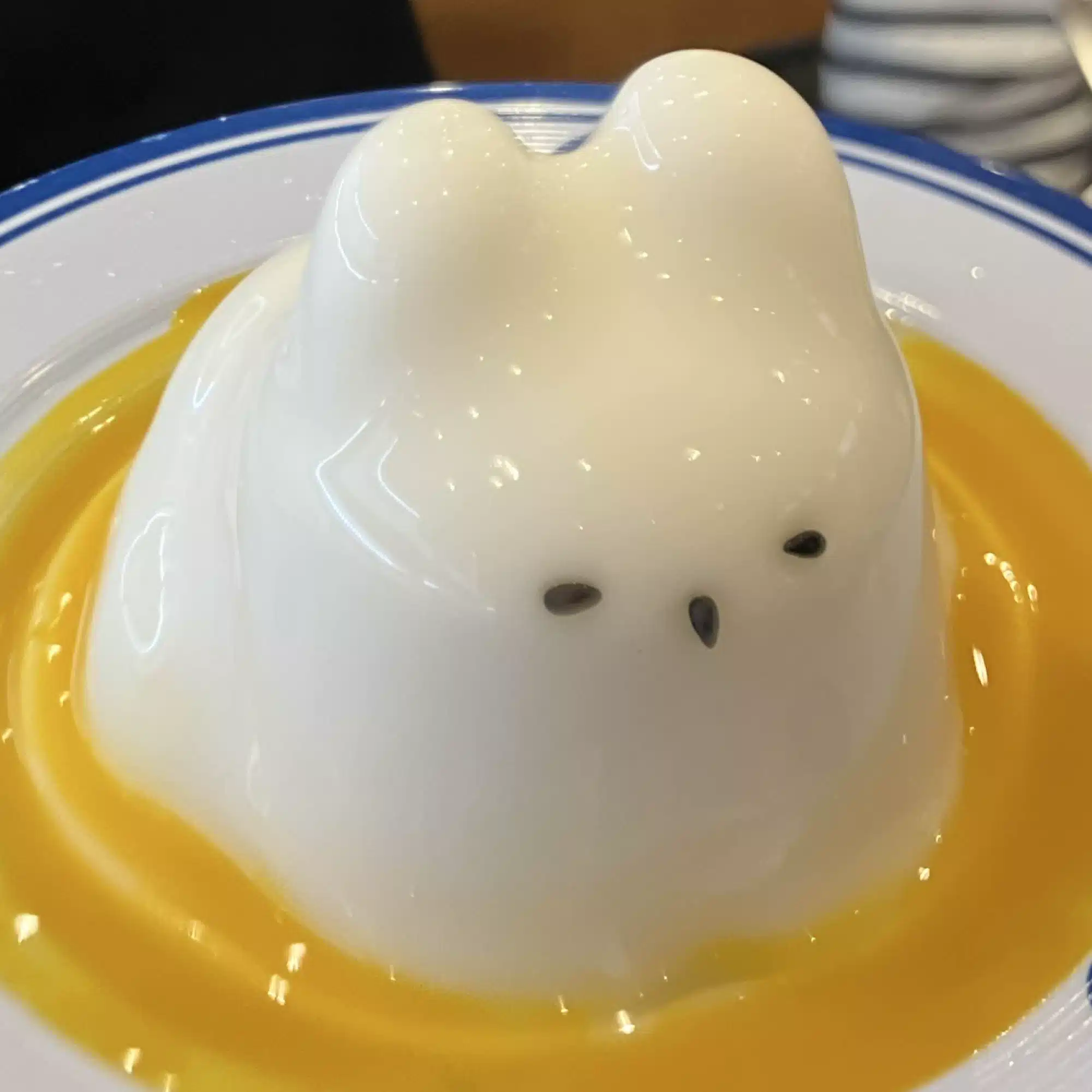 うさぎ
