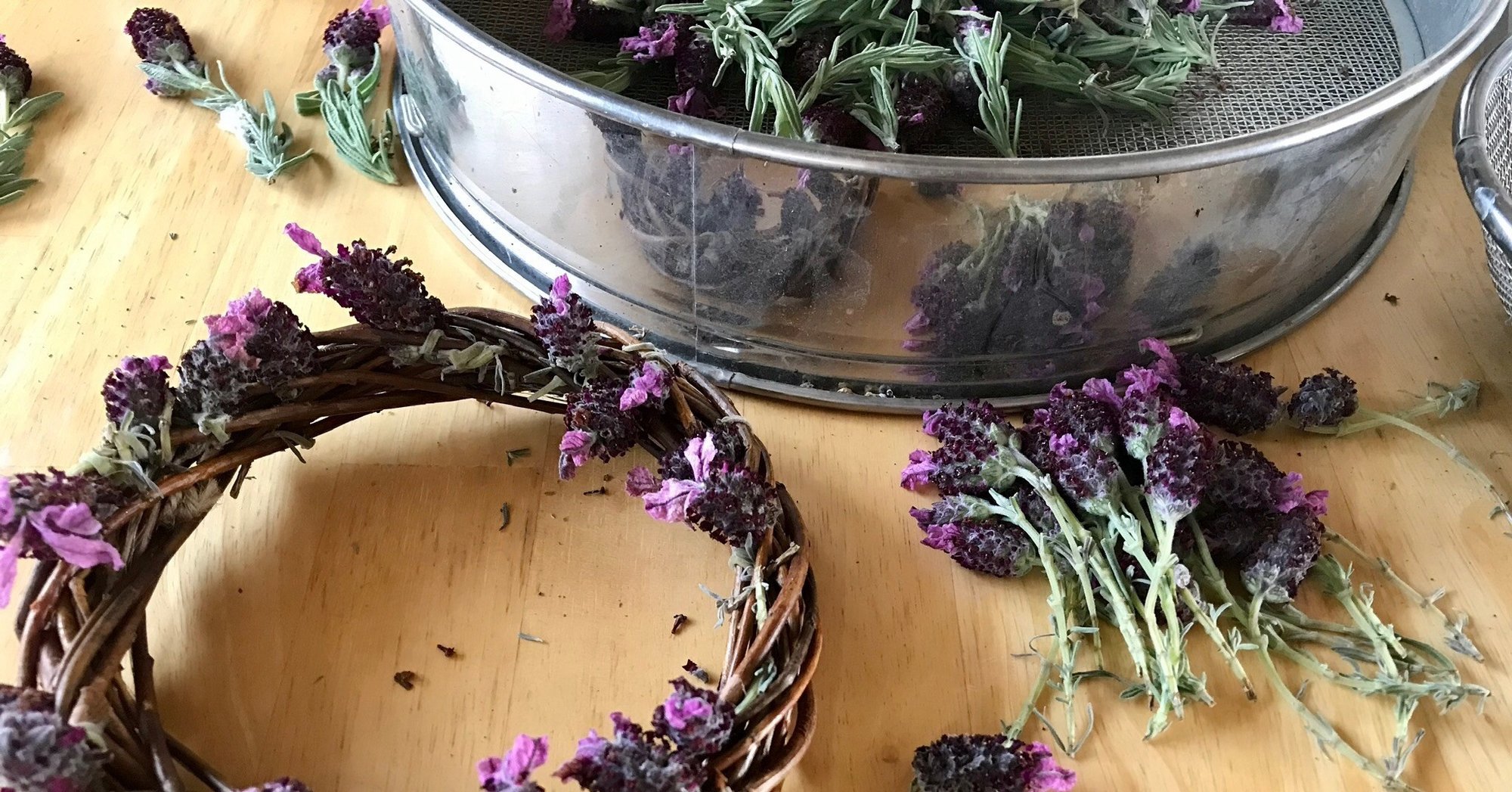 庭に生えたラベンダーと100均のリースベースのみでドライフラワーリースを作ってみた 失敗談からの学び付き Bonjin Records Note 庭に生えたラベンダーと100均のリースベースのみでドライフラワーリースを作ってみた 失敗談からの学び付き Bonjin Records Note