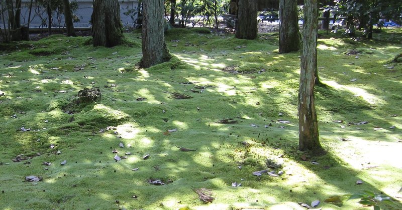 鬼滅の刃 が最終回を迎えてバズっとるから 全く何も知らない素人が今更アニメだけ見て思ったことを書いてみた はる筆線屋 note