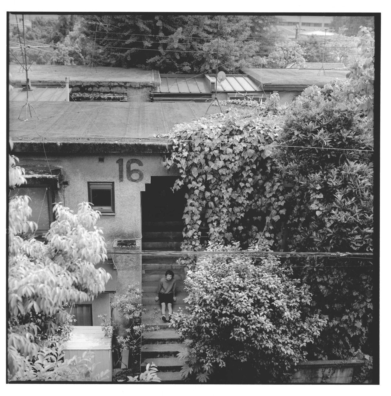 福山雅治ハービー山口写真展”DISTANCE” #38