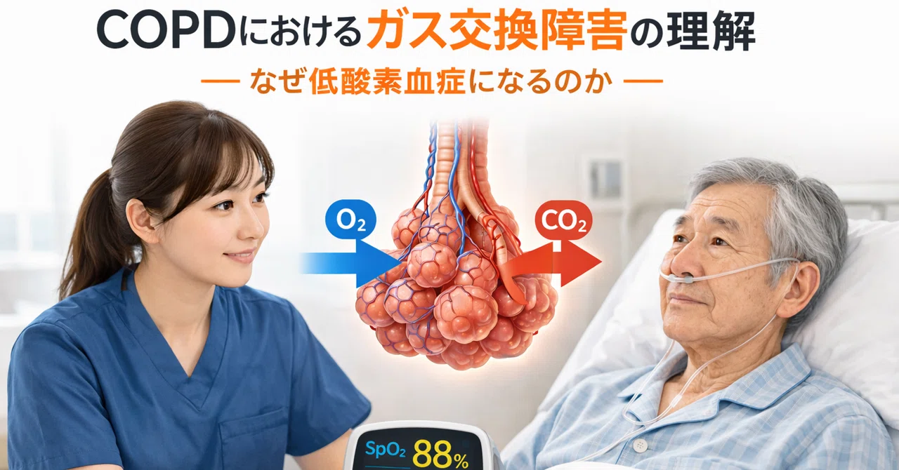 COPDにおけるガス交換障害の理解― なぜ低酸素血症になるのか―｜pt.note
