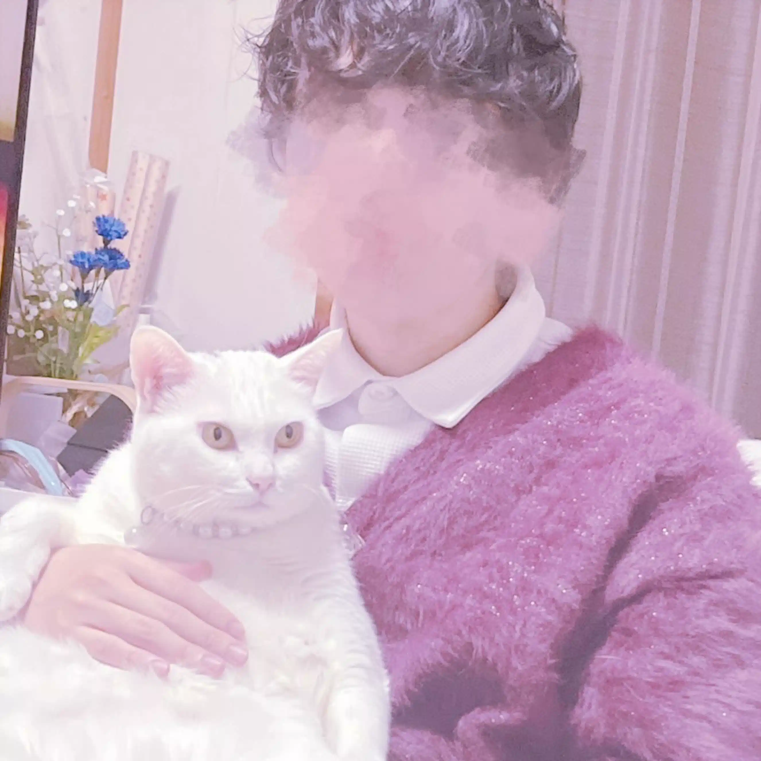 舞埜